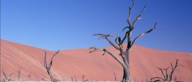 665099062-deadvlei-arcilla-parque-nacional-de-namib-naukluft-arenal-de-namib
