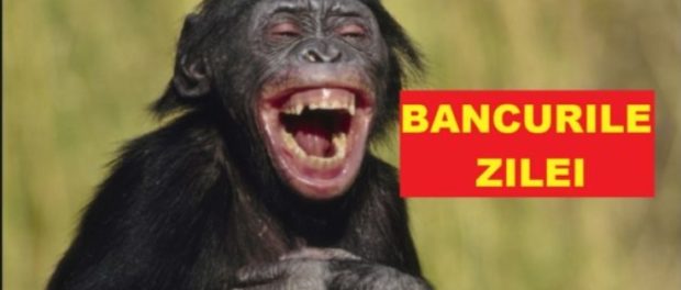 bancuri 1