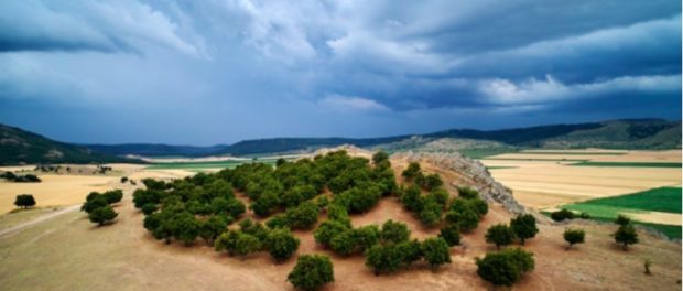 dobrogea