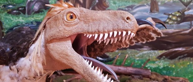 geoparc_dinozauri