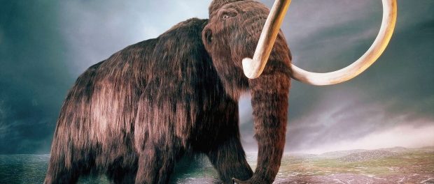 mamut 3