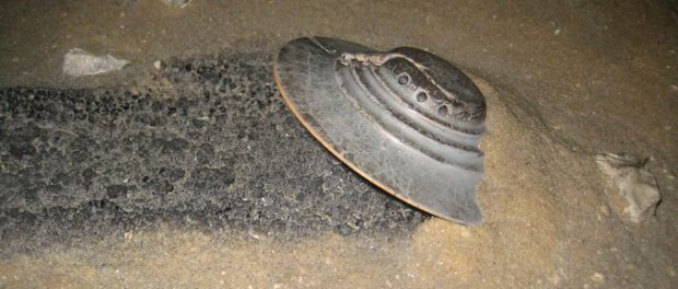 roswell02