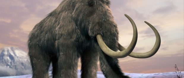 120872308_woolly-mammoth-NEWS_trans_NvBQzQNjv4Bq0K4YcDL3G4cBFFqVorikELUATf7ML2DwP4Pd_o4306U