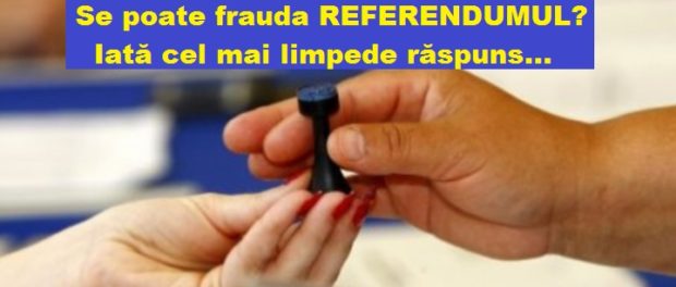 referendum 11