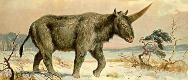 unicorn_1024