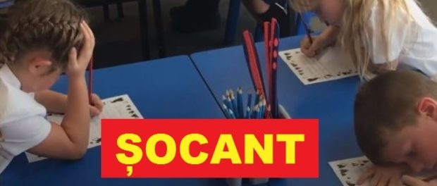 copii gradinita