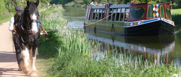 horse-drawn-boats-82