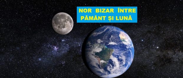 NOR BIZAR