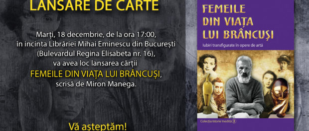 Banner - Brancusi