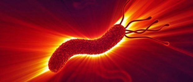 Earth-may-be-home-to-one-trillion-species-Largest-ever-analysis-of-microbial-data-reveals-an-ecological-law-concluding-99.999-percent-of-species-remain-undiscovered-A-768x329
