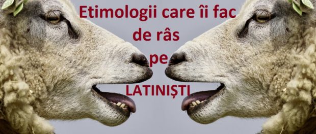 etimologii false