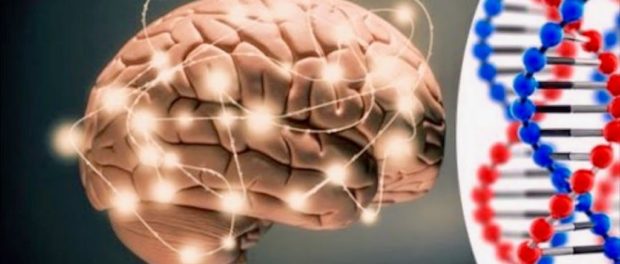 inteligenta adn