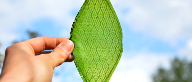 Silk-Leaf-by-Julian-Melchiorri_dezeen_01_644