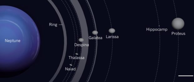 neptune-and-moons-hippocampjj_1024
