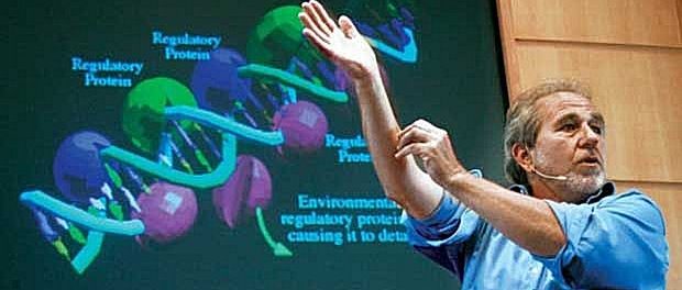 bruce lipton