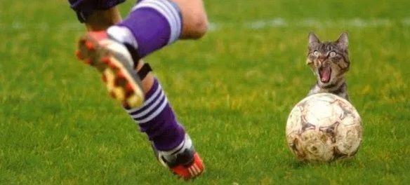 fotbal
