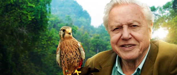 David Attenborough 60