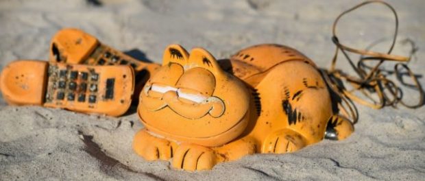 garfield