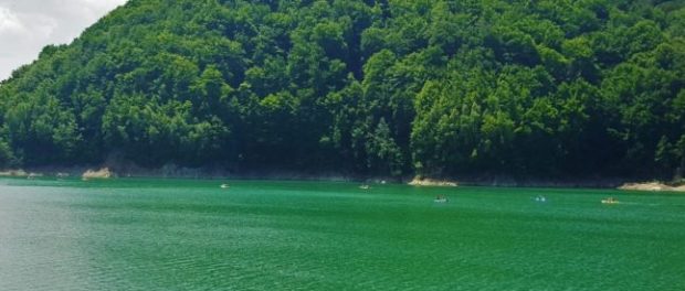 lacul paltinu
