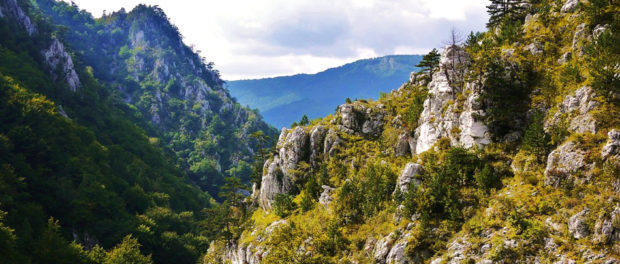 valea-cernei