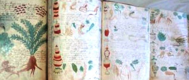 manuscris