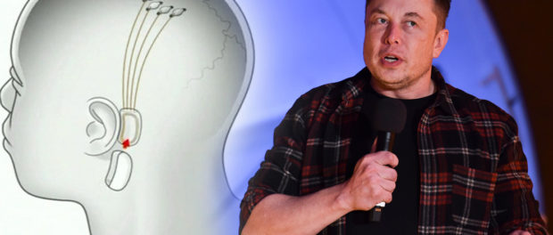 cip elon musk