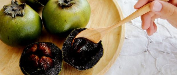 Sapote-negru-Diospyros-nigra