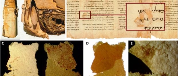 manuscris Marea Moarta