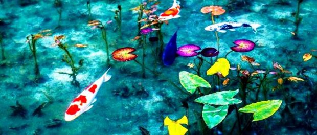 Iazul-lui-Monet-Iazul-din-Japonia