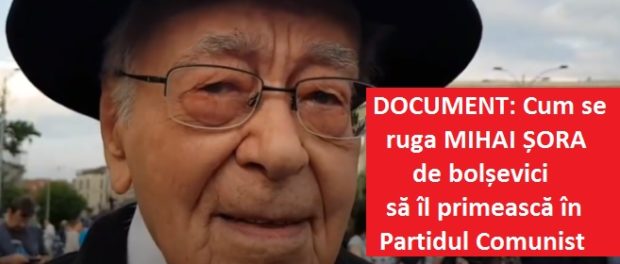 Mihai Sora 1