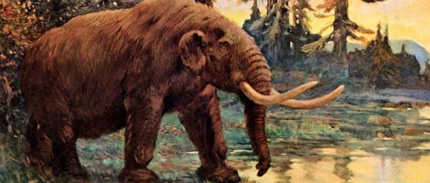 mastodont ...Jefferson