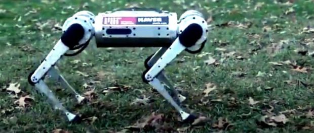 robot ghepard