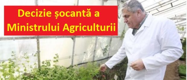 banca de gene buzau