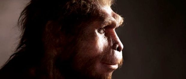 homo...