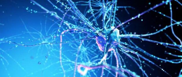 neuroni artificiali