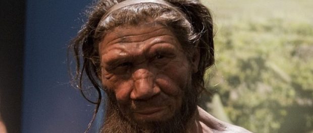omul_de_neanderthal_11163500
