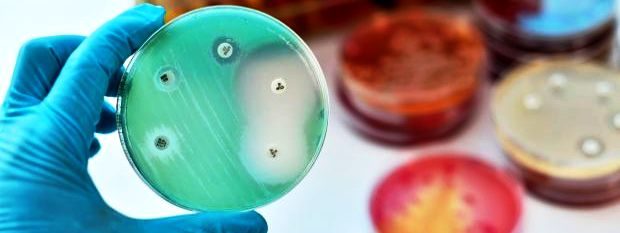 antibiotic
