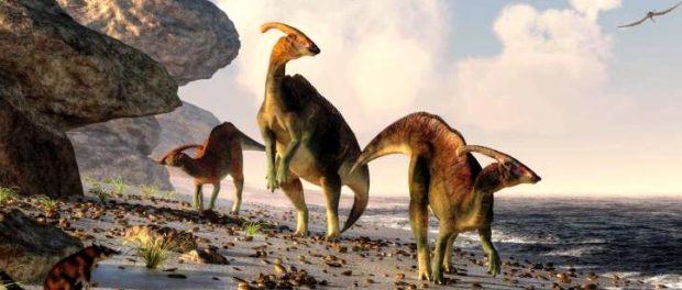 boala veche dinozaur