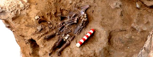schelet Neanderthal