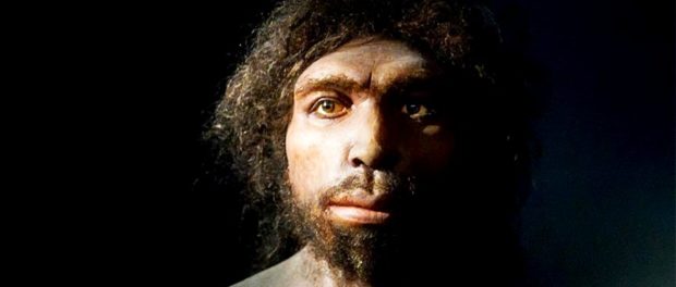 Homo Antecessor