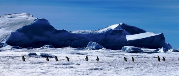 antarctica