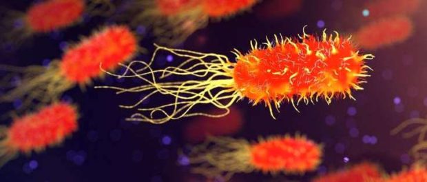 bacterii diabet tip 2