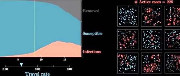 simulare epidemie