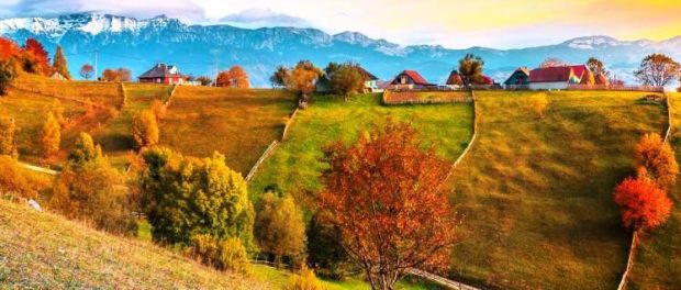 transilvania vrajita....