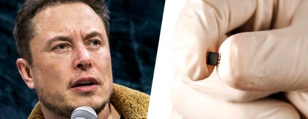 cip elon musk