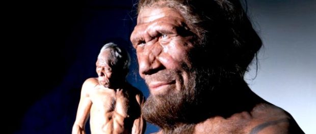 neanderthal