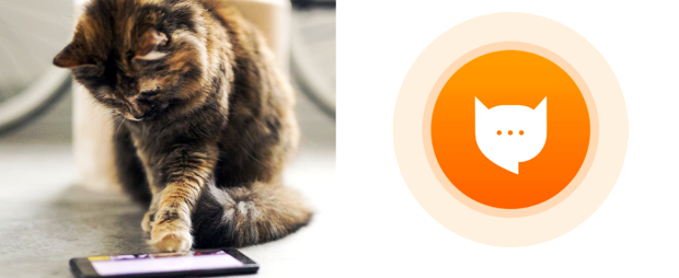 miau aplicatie