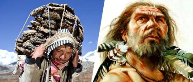 tibetani ADN denisovani