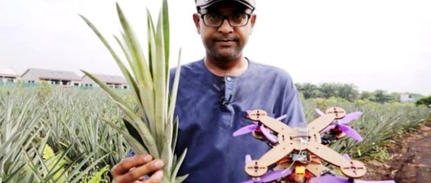 ananas....drone....malaiezia