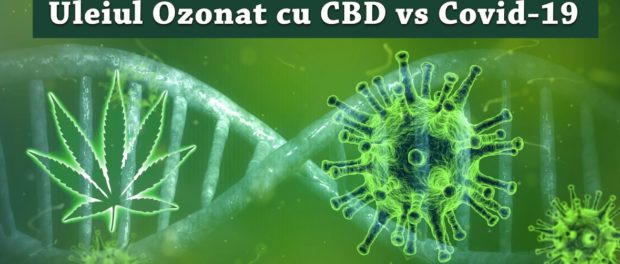 Ulei ozonat cu cbd versus Covid
